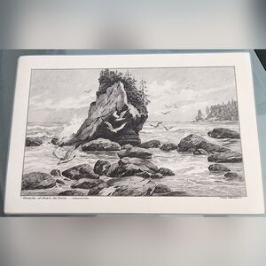 Black and White Coastal Rock Drawing Illustration
